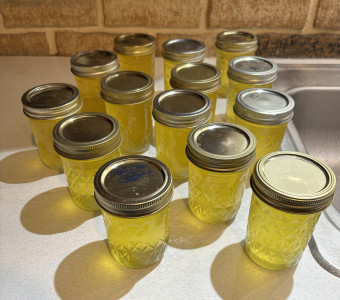 Beef Tallow