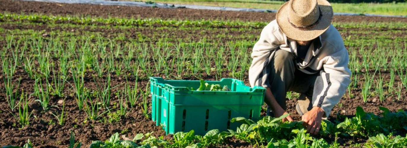 farming