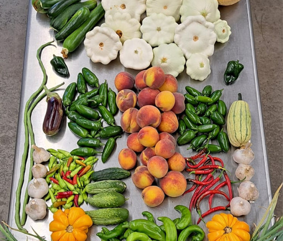 Fresh, local produce collected for our produce subscription boxes