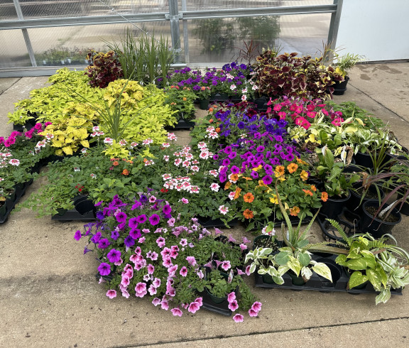 Wellington High School FFA Horticulture Program