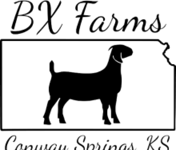 bx