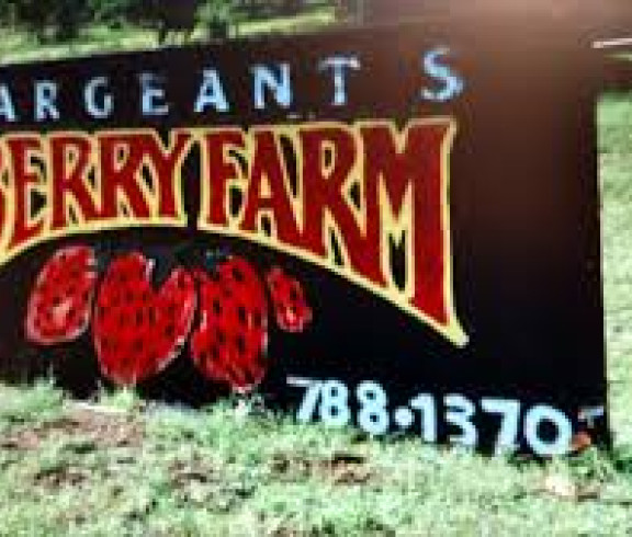 Sargeant Berry