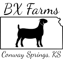 BX Farms