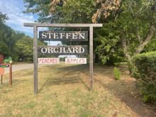 Steffen orchard