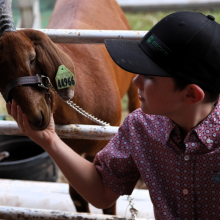 summer County Fair