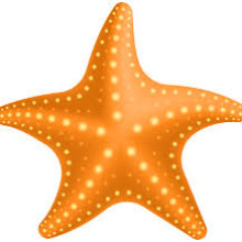 starfish