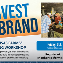 SKF harvest your brand workshop