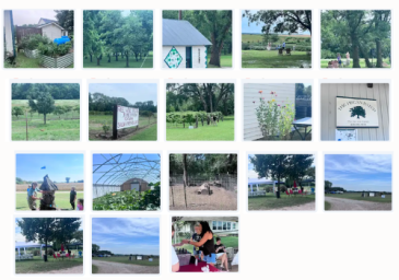 Oxford Farm Tour