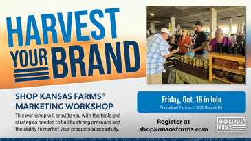 SKF harvest your brand workshop